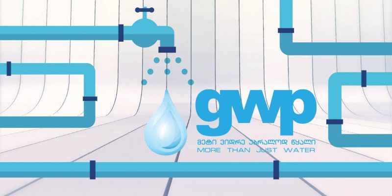 Researching of the needs and assessment in GIS for Georgian Water & Power (GWP) LLC