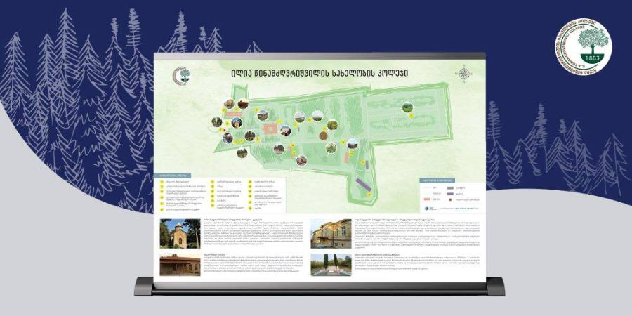 The scheme of the Ilia Tsinamdzgvrishvili College complete territory