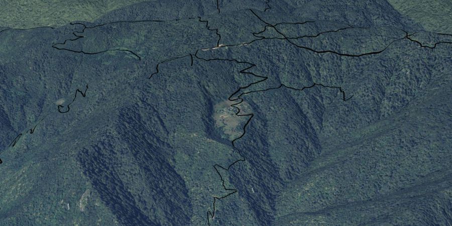 Creation of a Unified Geodatabase of Adjara's Forest and Municipal Roads